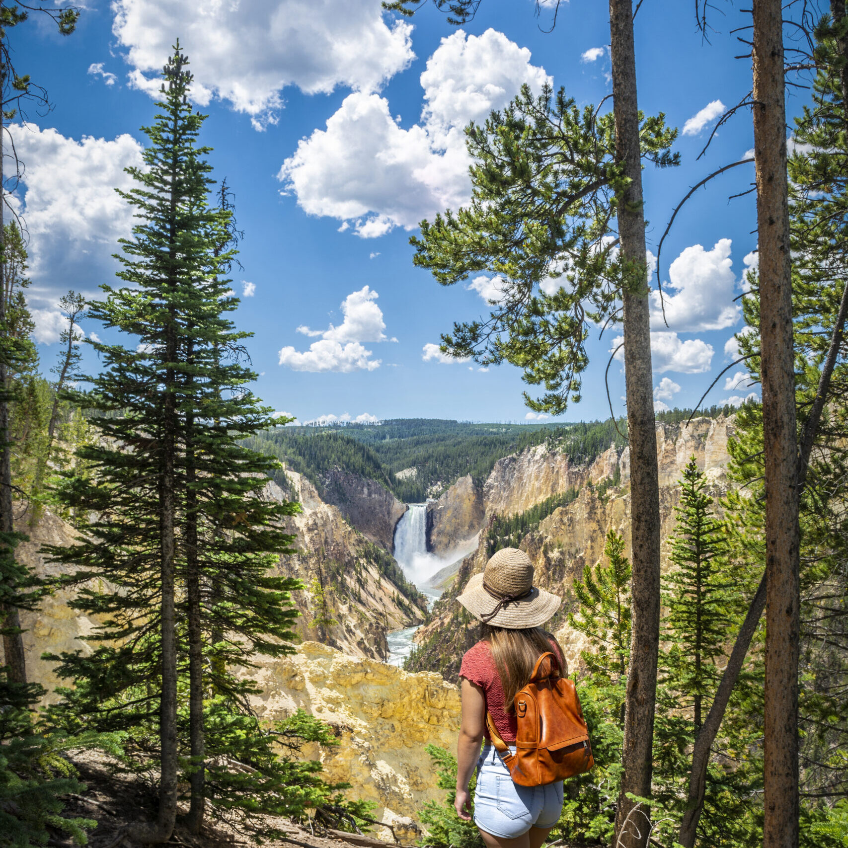 Girl hiker relaxing on top of the mountain, looking at beautiful summer  landscape. Beautiful Lower Falls at Yellowstone National Park, USA.